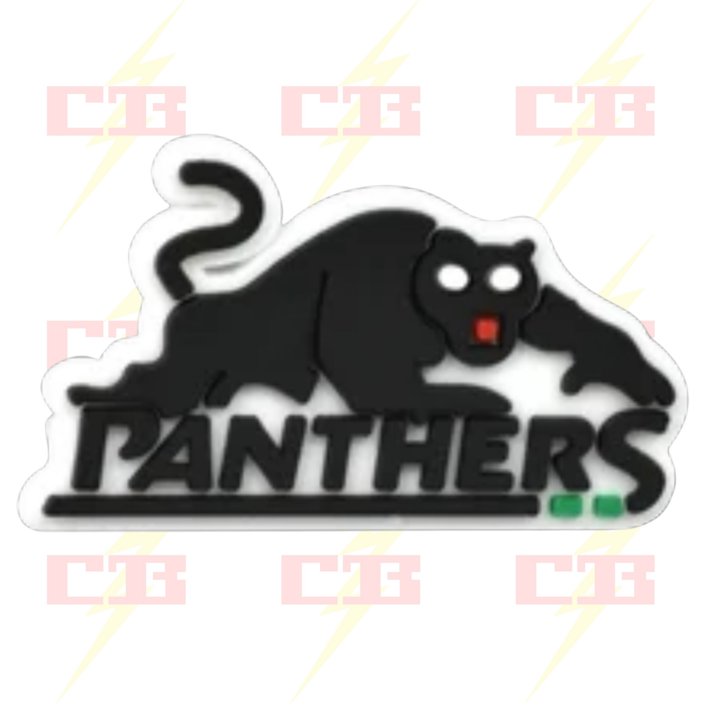 Panthers Charm