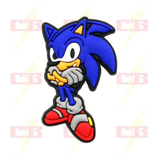 Sonic Standing Charm